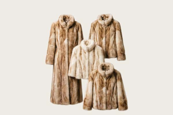 船山区回收皮草衣服